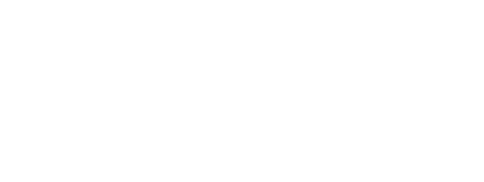 Logo Projektpartner 2